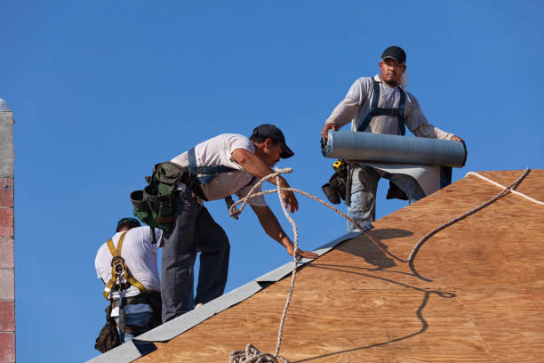 Best Storm Damage Roof Repair  in Red Boiling Springs, TN